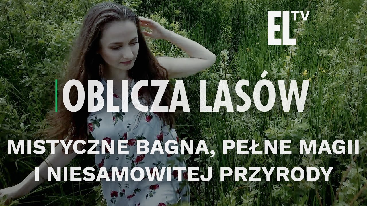 Mistyczne bagna, pełne magii i niesamowitej przyrody | OBLICZA LAS&Oacute;W #140