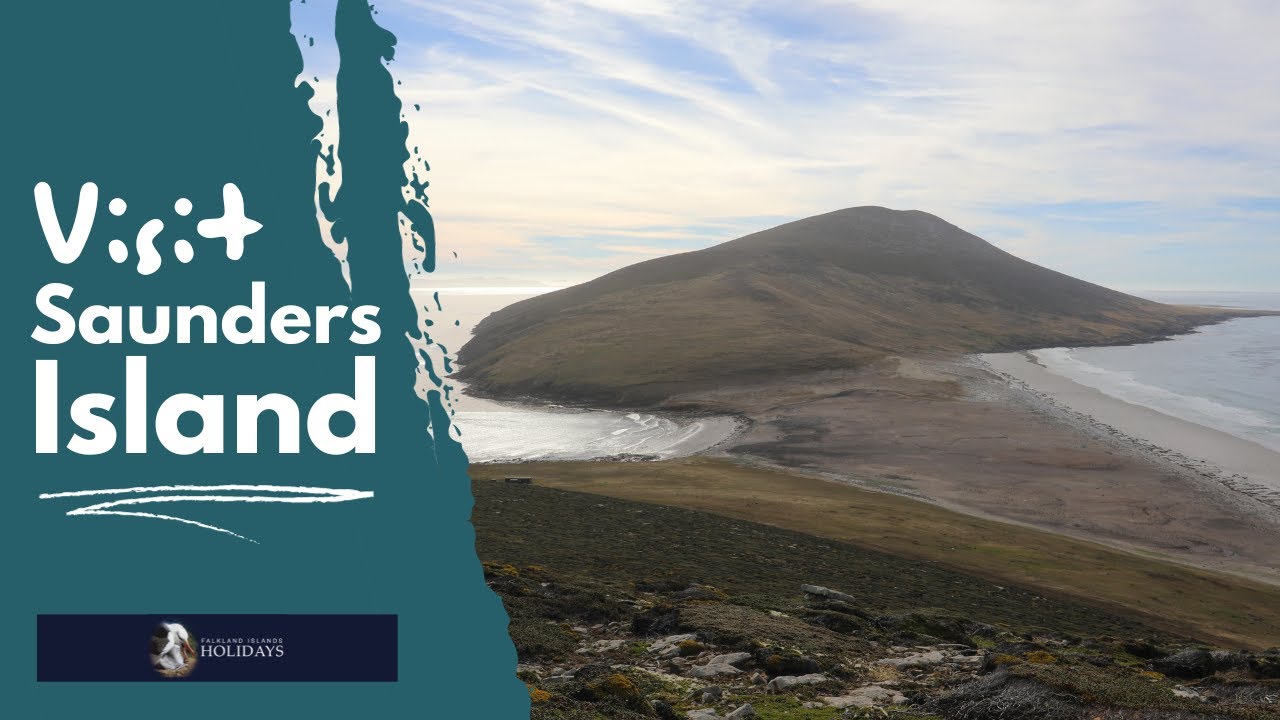 Visit the Falkland Islands - Saunders Island