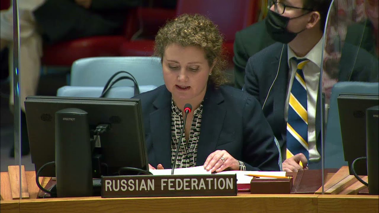 Statement by DPR Anna Evstigneeva at UNSC briefing on peace and security in Africa