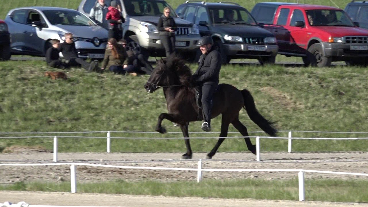 IS2012286645 Lukka frá Efsta Seli