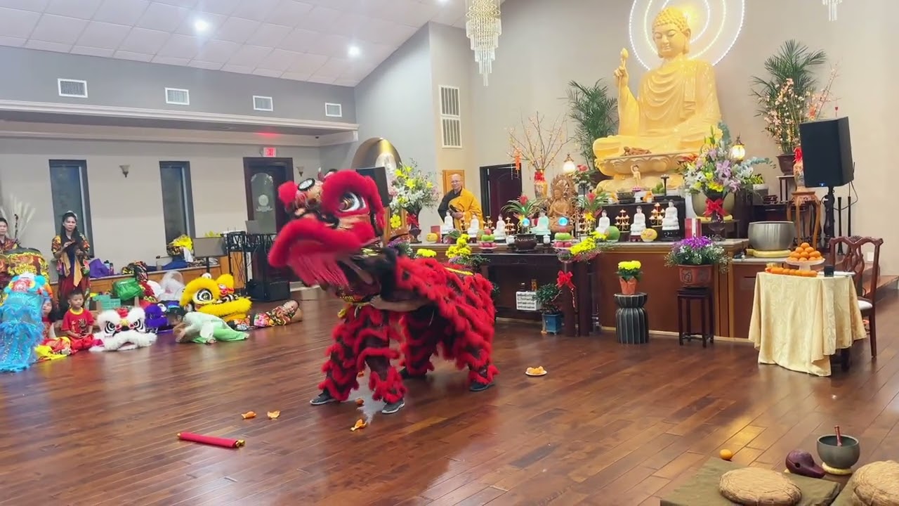 Lion Dance on Lunar New Yeat