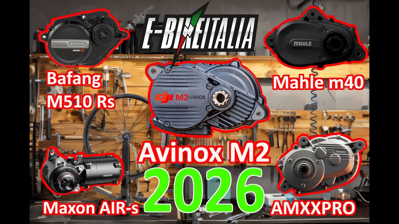 TOP 5 Motori 2026 :Avinox M2s, Maxxon, Mahle, Panasonic, Bafang.