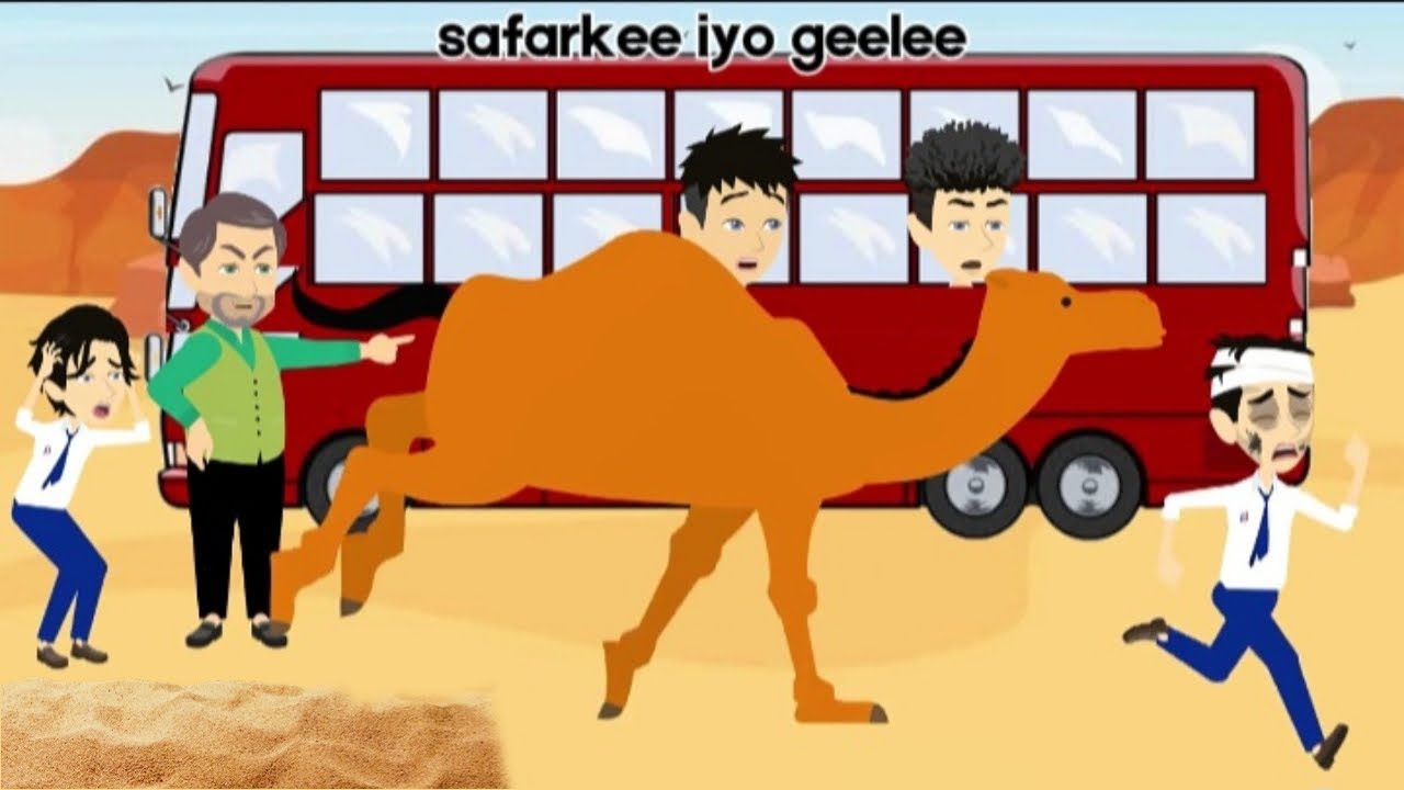 Sheeko gaaban:safarkii iyo geelkii