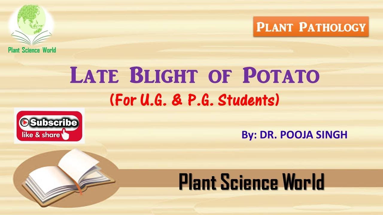 Late blight of Disease Potato (Plant Pathology)