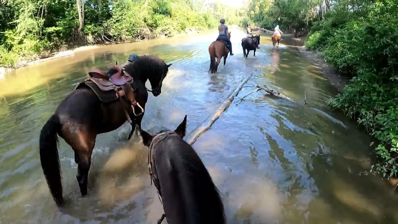 On va à la rivière Neigette
