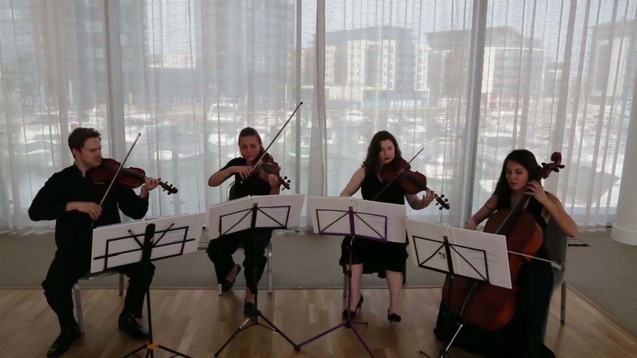 Southern Strings performing Sweet Child O' Mine