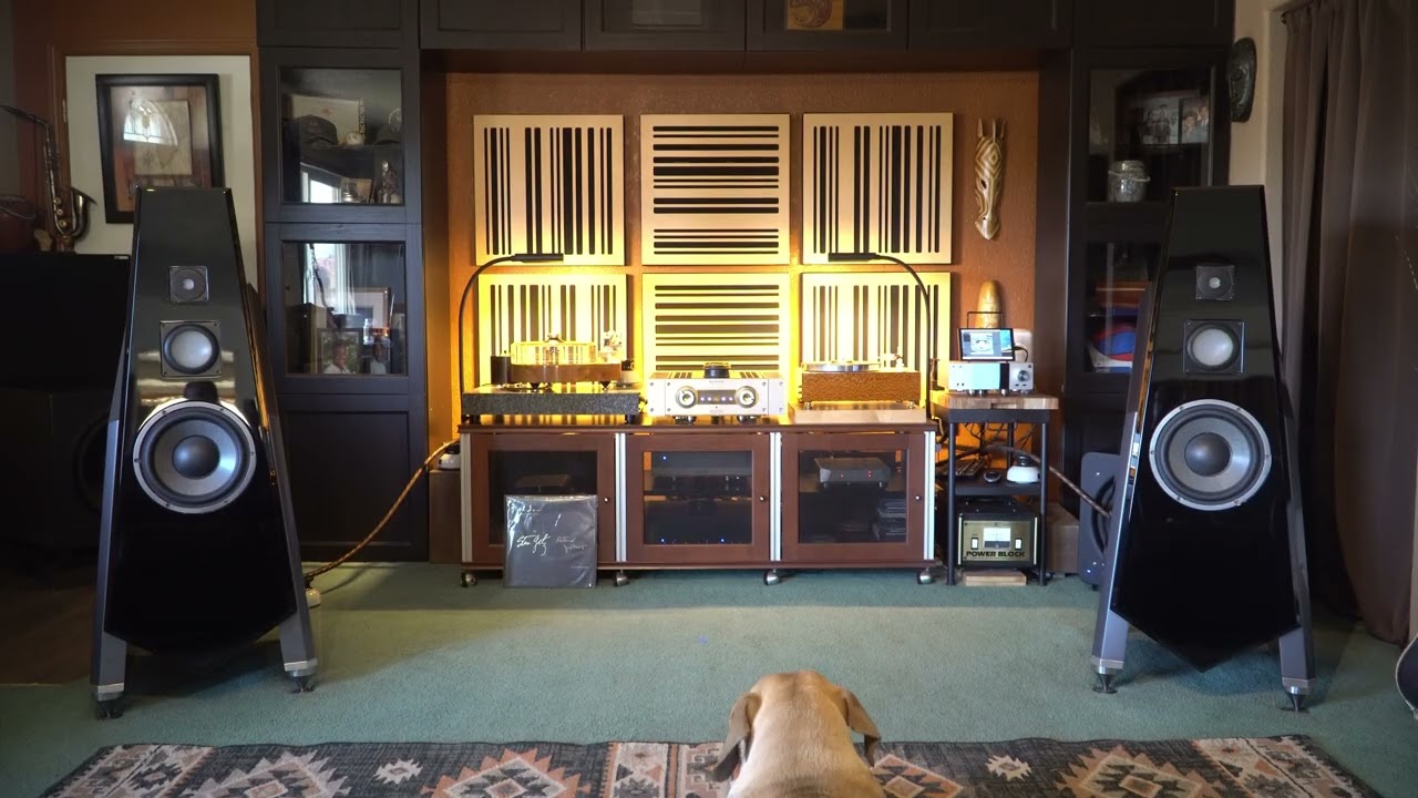 Talon Audio Firebirds playing Percussion.