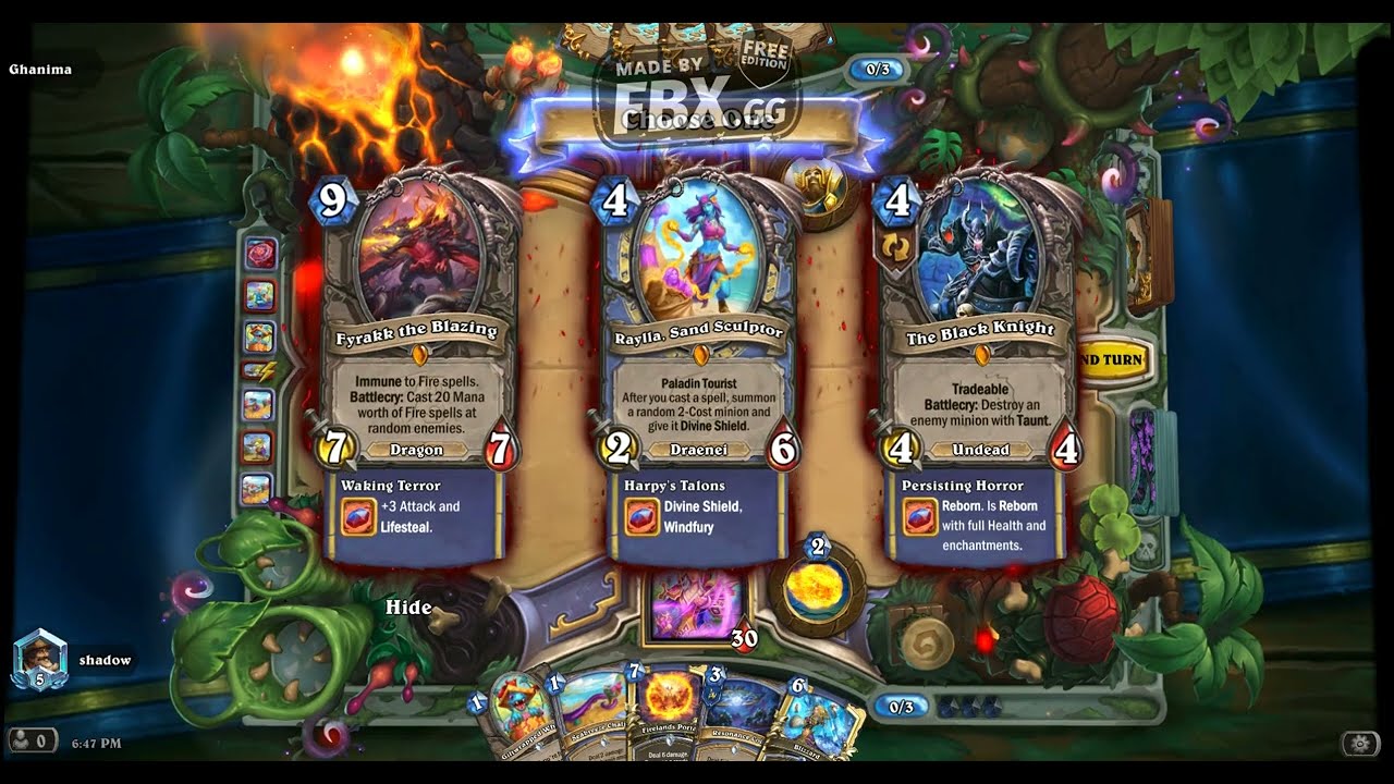 Standard - Mage Vs Paladin - Dark Gift - Raylla - Ragnaros the Firelord - Legendary Dragon