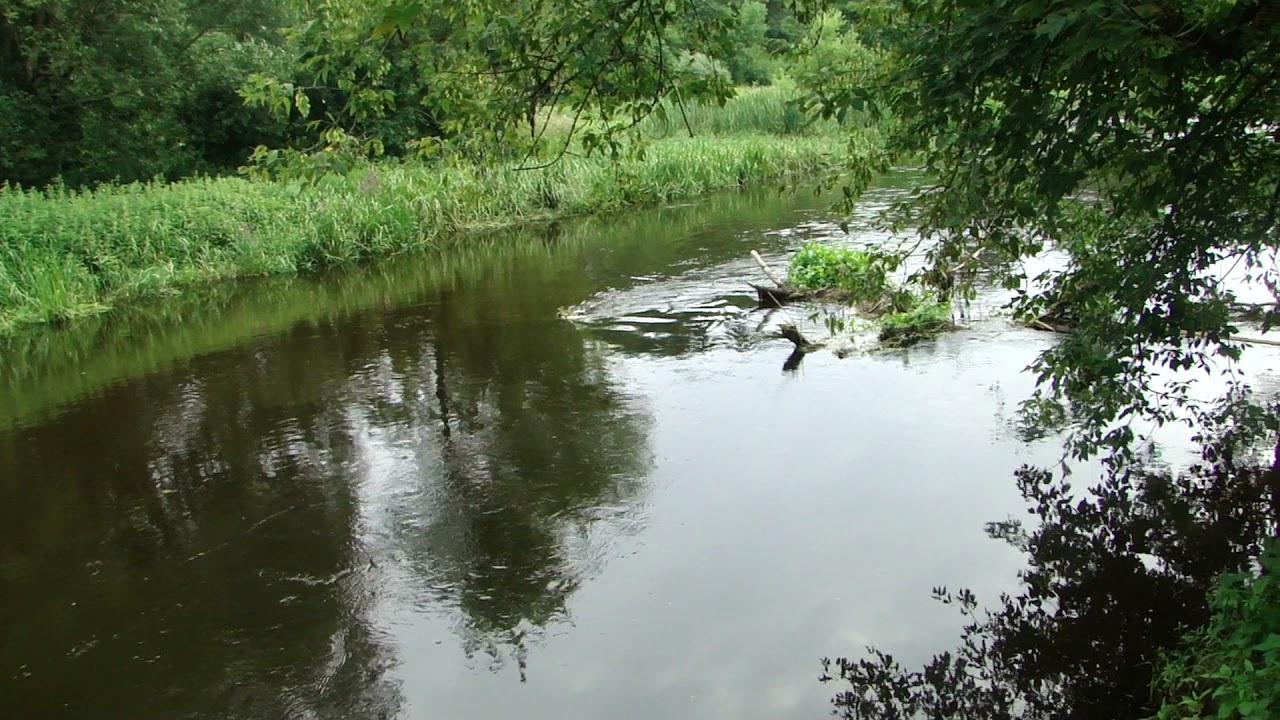Rzeka WKRA - wyjątkowa na skalę światową.