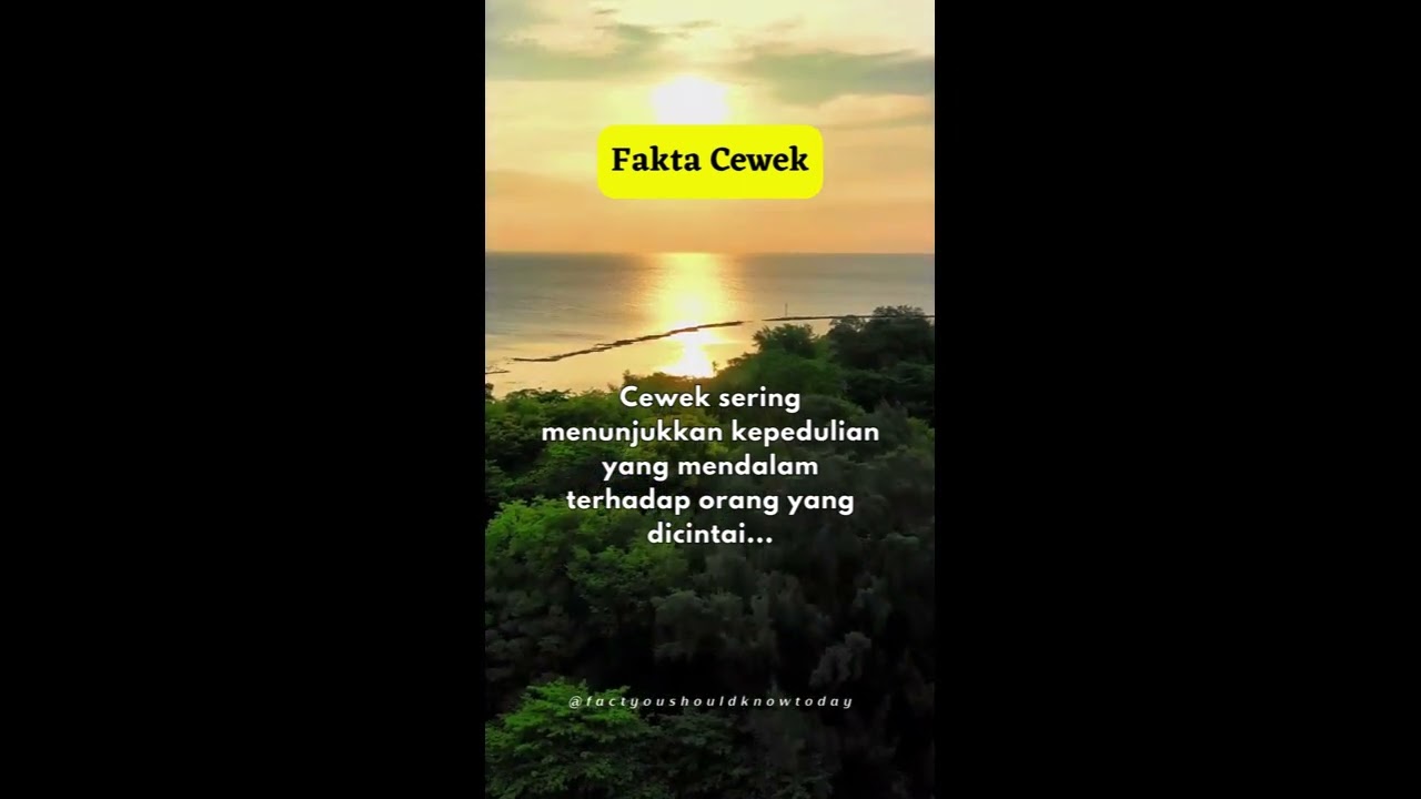 Fakta Cewe