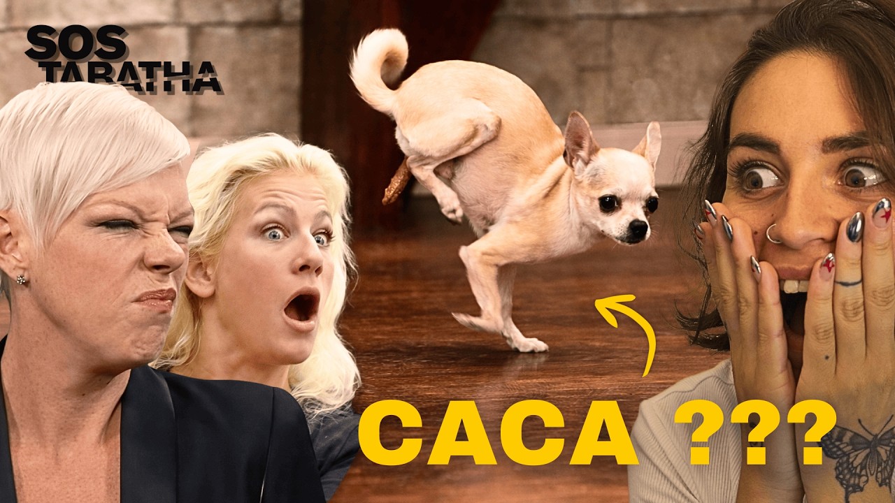 LA PATRONNE EST UNE DRAMA QUEEN ET LES CHIENS FONT CACA PARTOUT ! (SOS Tabatha)