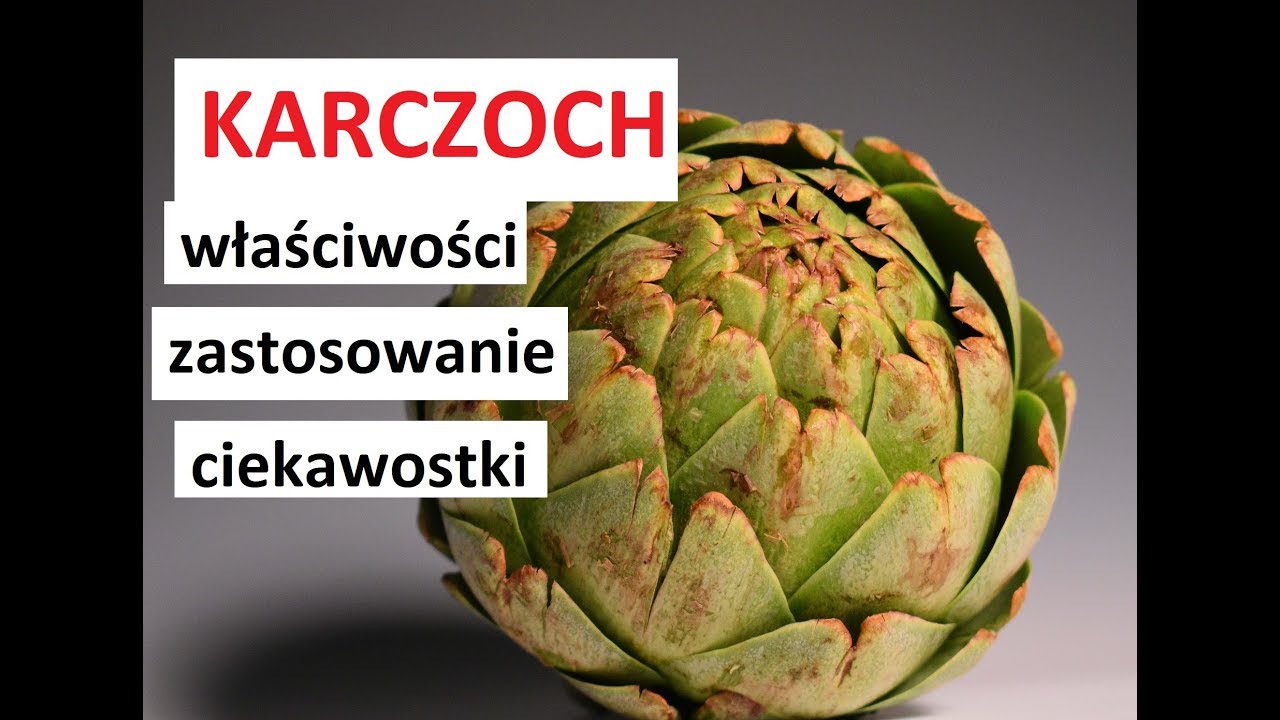 KARCZOCH - właściwości, zastosowanie, ciekawostki, skład