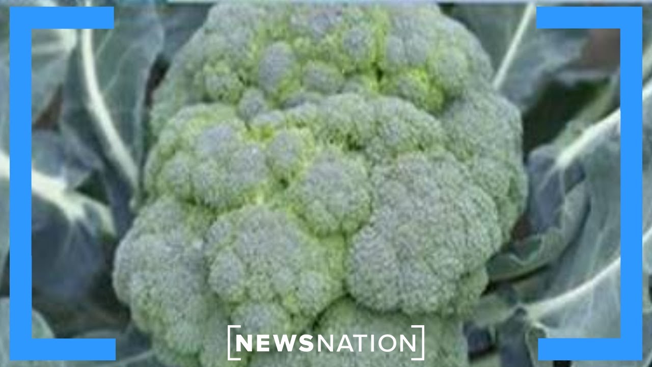 Why you shouldn't eat too much broccoli or kale | NewsNation Special Coverage