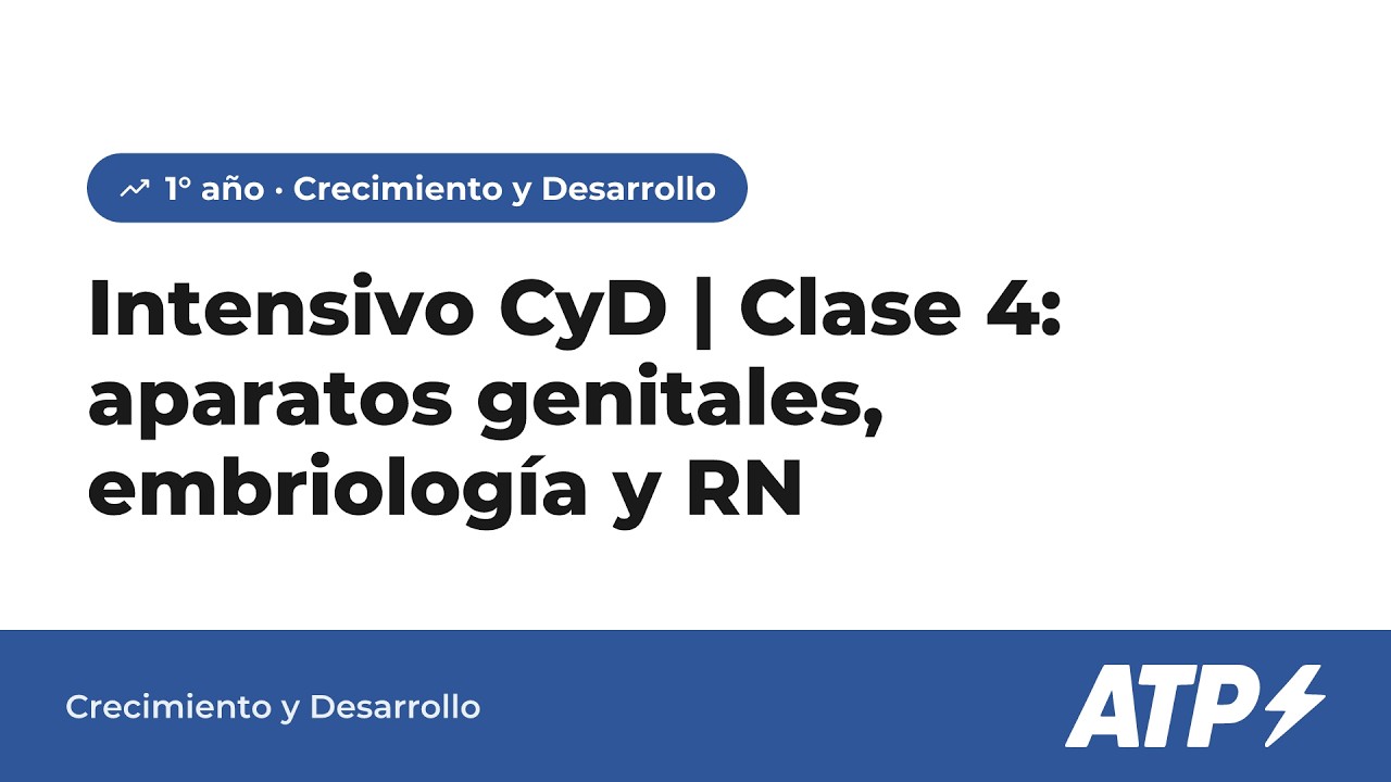 Intensivo CyD | Clase 4: aparatos genitales, embriología y RN