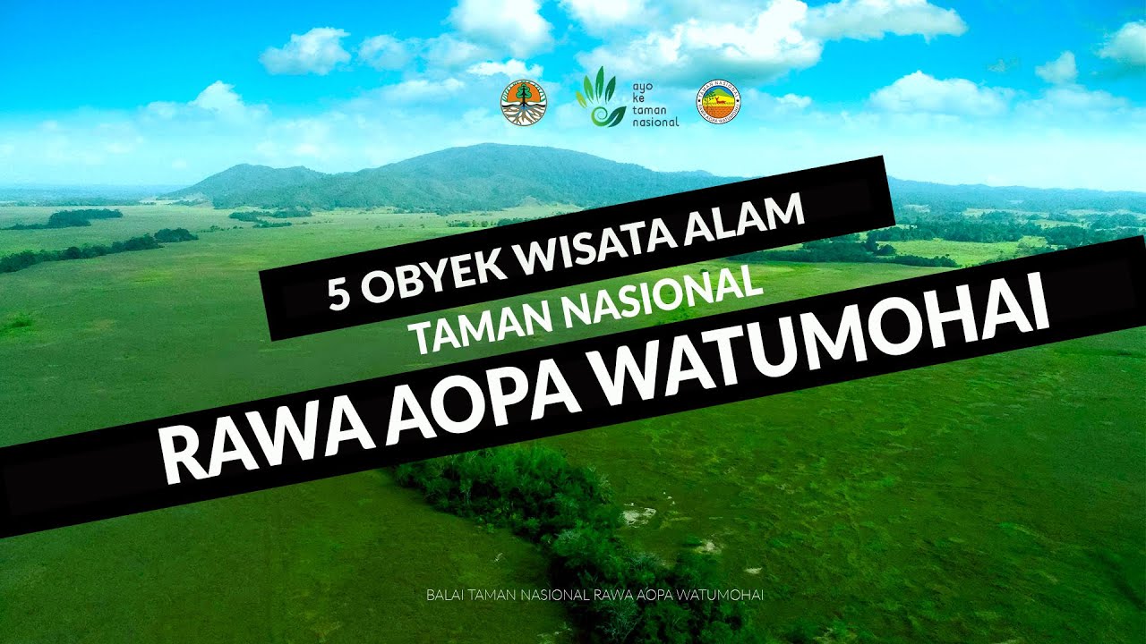 5 OBYEK WISATA DI TAMAN NASIONAL RAWA AOPA WATUMOHAI