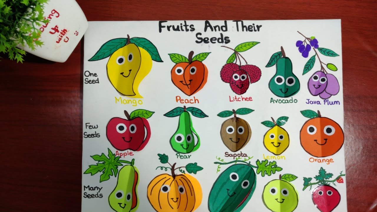 Fruits and their seeds HD 720p