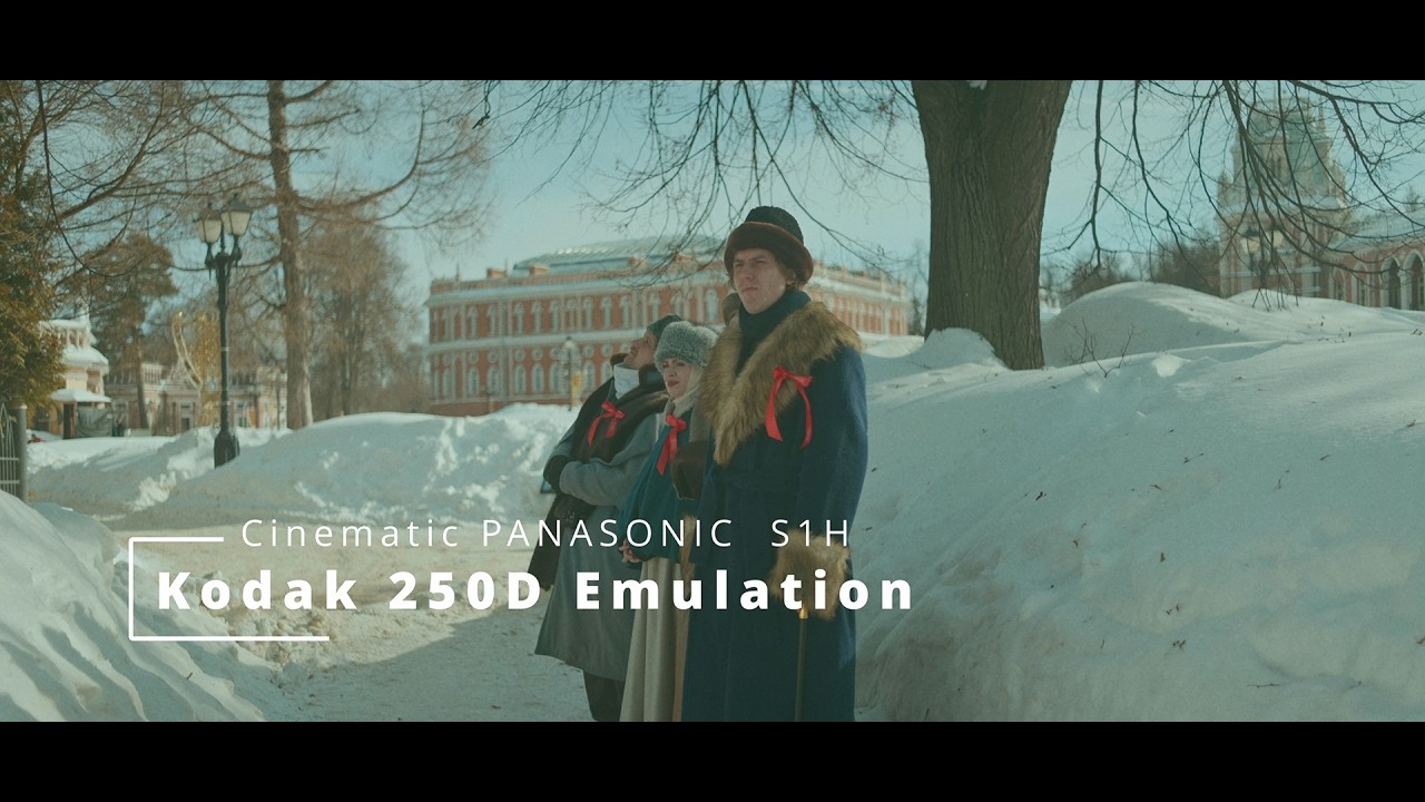 Cinematic S1H Kodak 250D Emulation