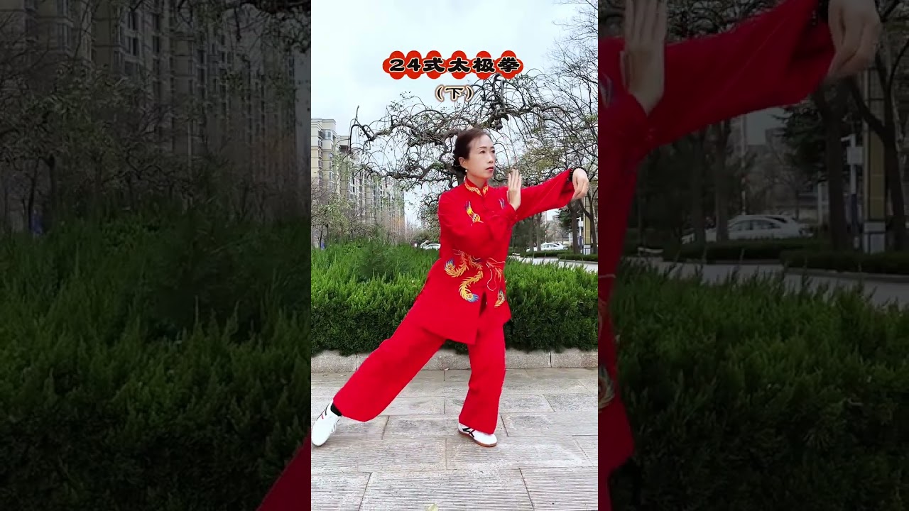 Master Tai Chi in 24 Forms - A Journey to Chinese Martial Arts Enlightenment