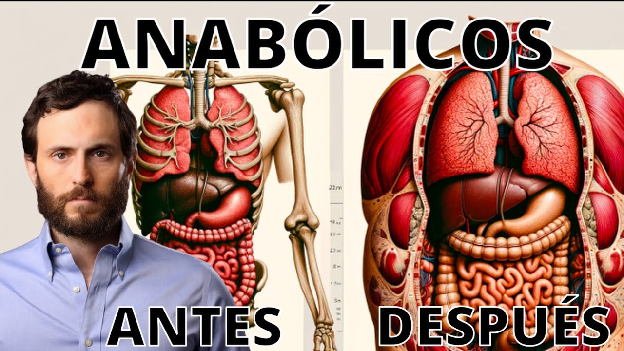 Cuánto Músculo Puedes Ganar Con y Sin Anabólicos?