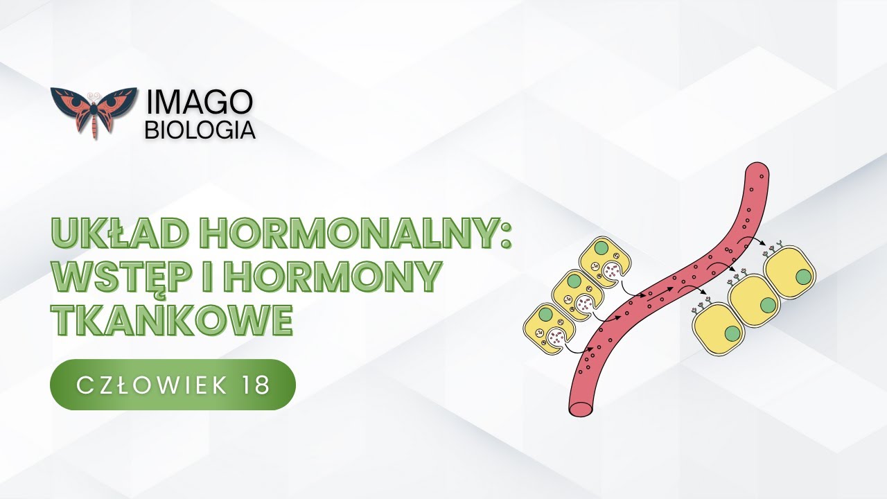 Układ hormonalny. Wstęp i hormony tkankowe