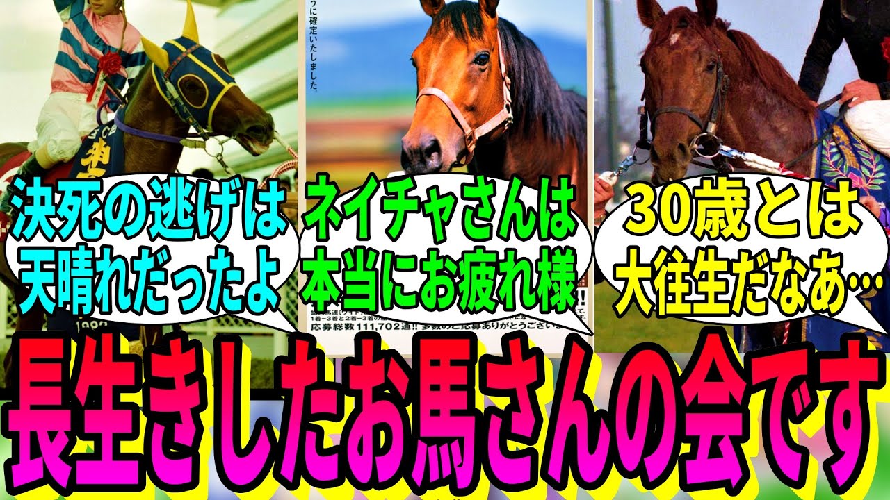 【競馬の反応集】「ここは長寿の馬の会です」に対する視聴者の反応集