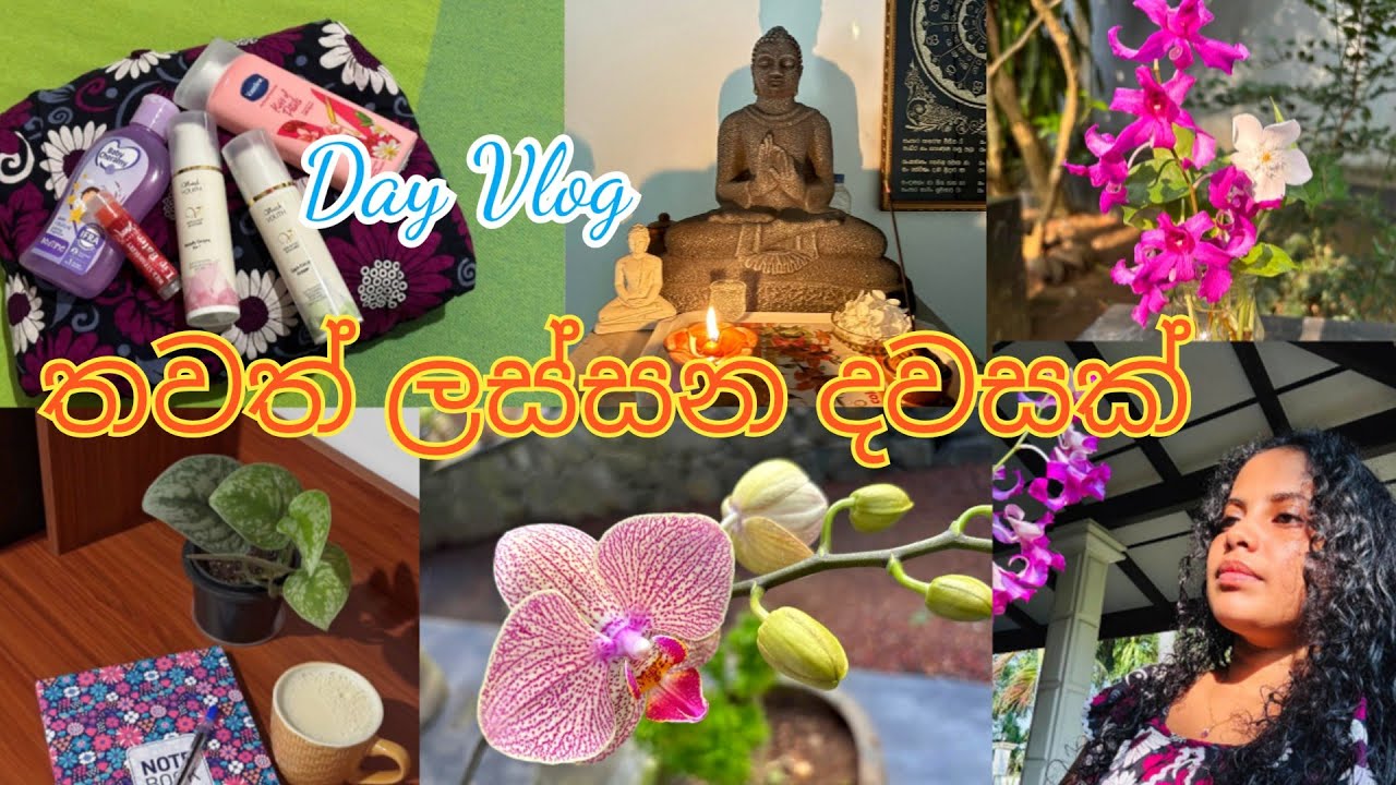 ජීවිතේම වෙනස් කරපු පුරුදු 🍃💕| Day Vlog #selflove #dayvlogsinhala #resetyourmindset #dayinmylife 