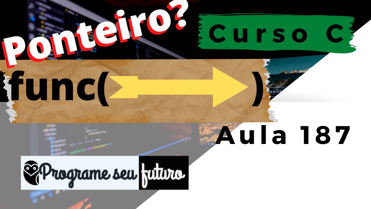 Curso de Programação C | Ponteiro como parâmetro para uma função ou procedimento | Aula 187