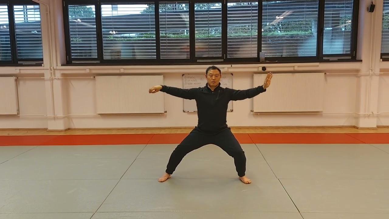 Wang Yan performing Xinjia Erlu - Ljubljana, Slovenia 2023