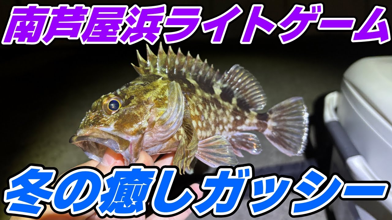 【祝！2026年】南芦屋浜ライトゲーム！明けましておめでとうございます！