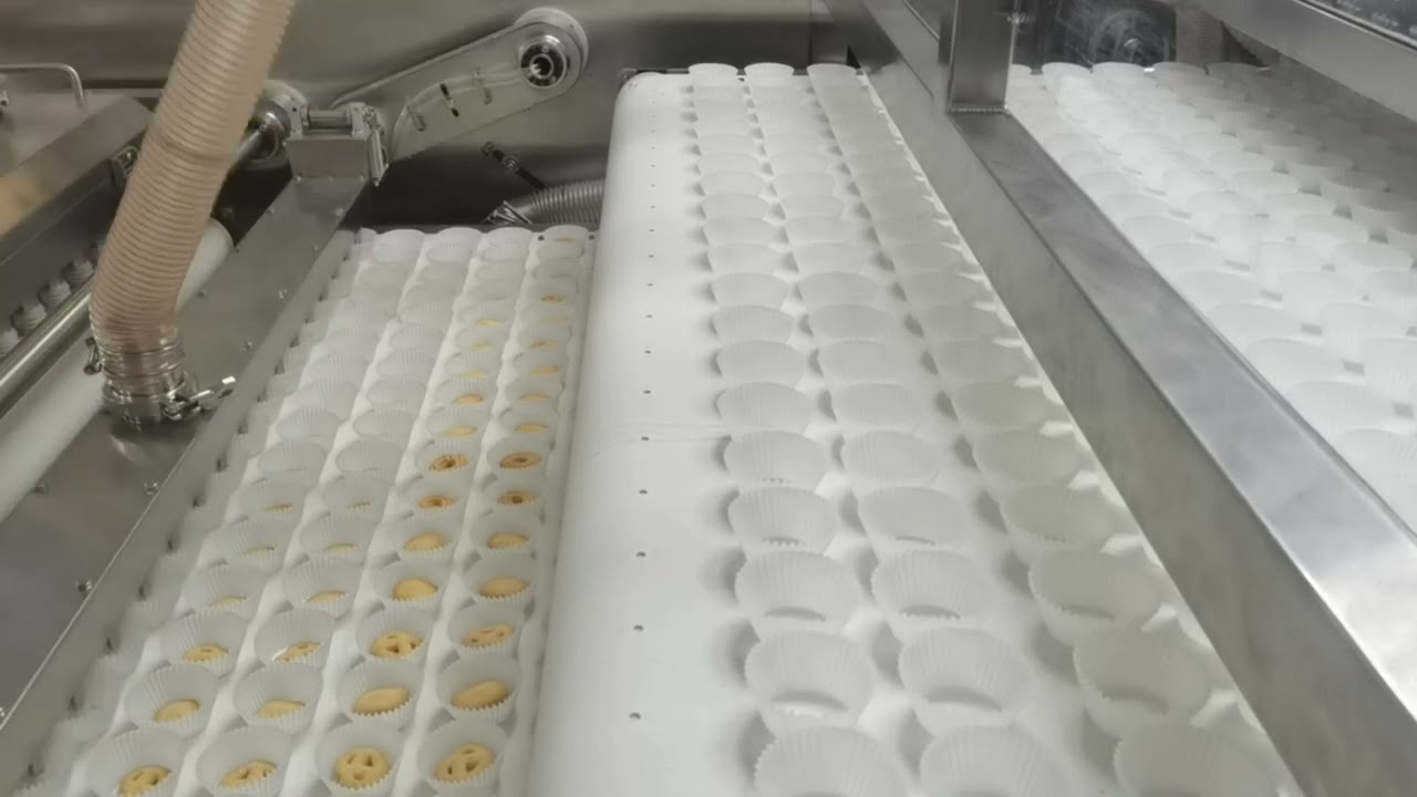 Automatic Cookies Paper Cup Loading System-APEX Machinery