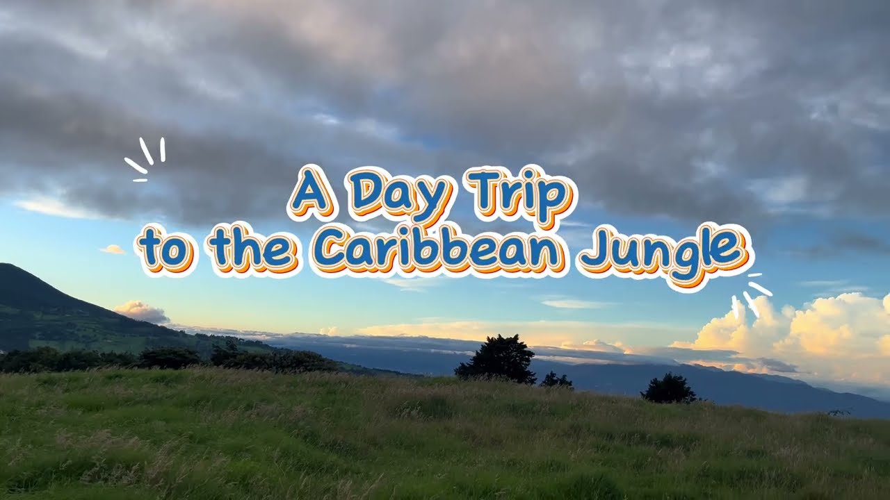 🪷🪐Costa Rica’s Caribbean Side: Night Owls, White Bats, and the Wild Magic of the Jungle