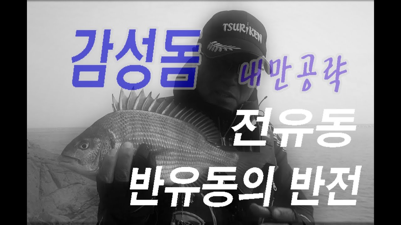 감성돔 낚시, 전유동 공략  & 반유동의 반전 [바다 낚시]