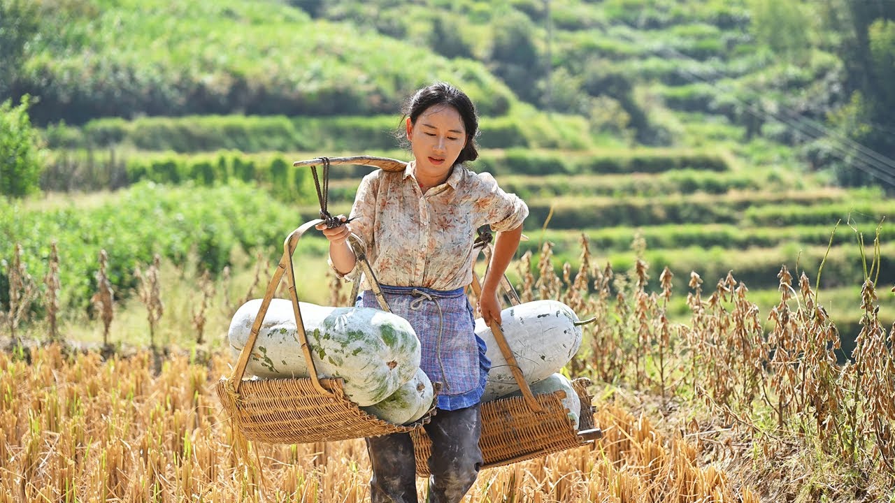 Winter melon feast 冬瓜宴 | 菜園的冬瓜豐收了，吃不完的曬成冬瓜乾、做成甜糯的冬瓜糖，嚼著嚼著，全是小時候的味道。【鄉愁沈丹ShenDan】