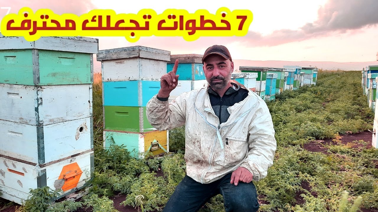 (7)...خطوات تصل الى الاحتراف في تربيه النحل