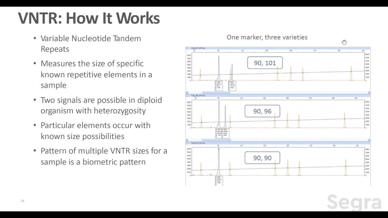 Know What You Grow: DNA Fingerprinting in Cannabis by VNTR with Dr. John Brunstein