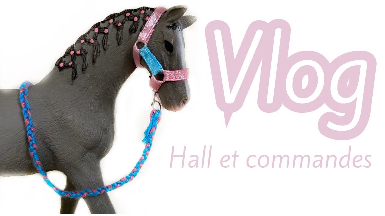 Vlog - Hall et commandes