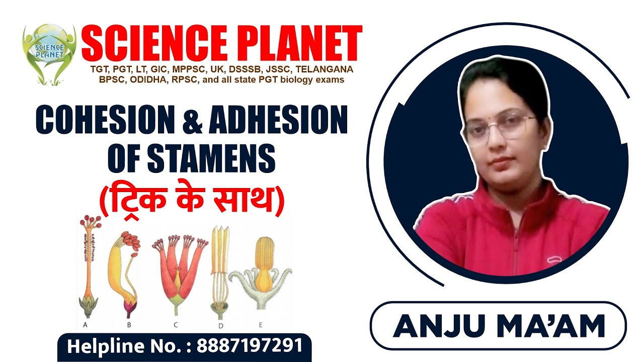 Cohesion & Adhesion of Stamens ( ट्रिक के साथ) Explained by Anju Mam of Science Planet!