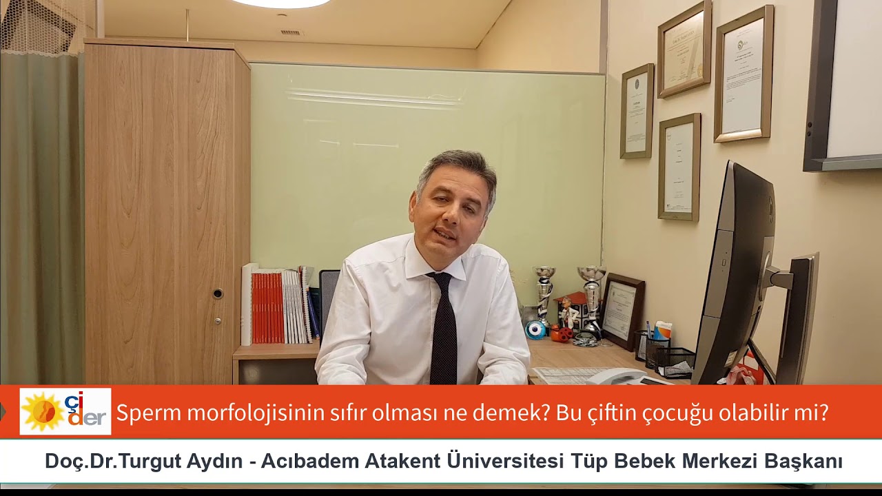 Sperm morfolojisinin sıfır olması ne demek