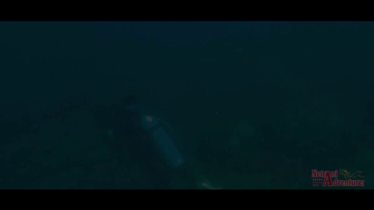 STRESSFUL LOCKDOWN IS OVER- IT'S TIME TO EXPLORE UNDERWATER-NETRANI ADVENTURES.