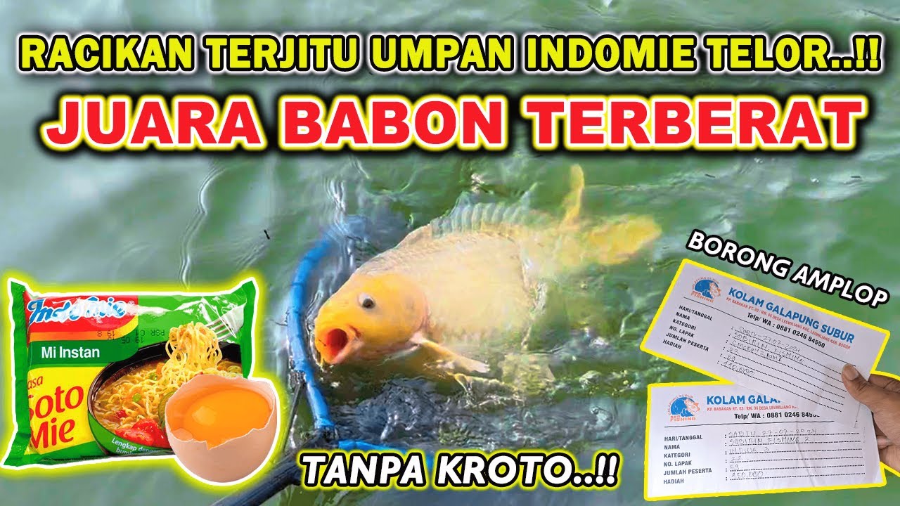 RESEP UMPAN MILOR TERKEJAM !! UMPAN IKAN MAS INDOMIE TERJITU BABON JUARA TANPA KROTO❗❗