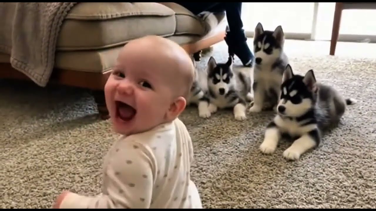 Heart-Melting Compilation: Cutest Baby & Husky Puppy Funny Moments | Try Not To Smile 😂🇺🇸🐶