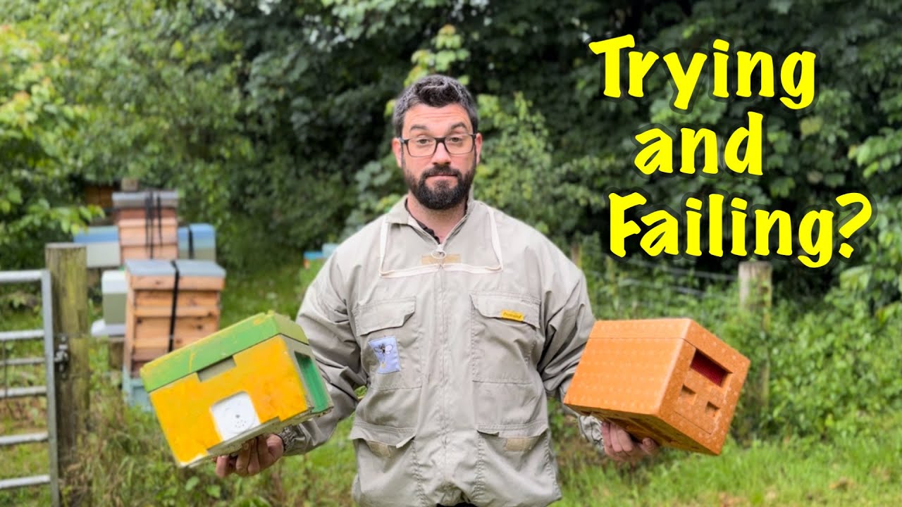 Raising new queen bees - Setting up mating boxes