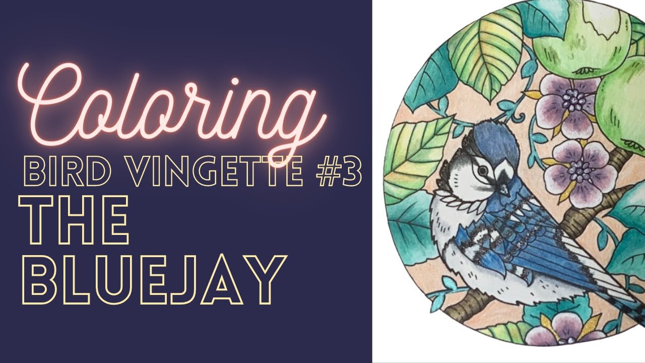 Coloring the BLUEJAY - the 3rd of 4 small vignettes of birds from Johanna Basford's Worlds of Wonder