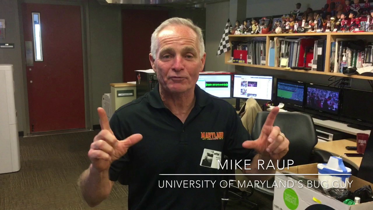 UMD 