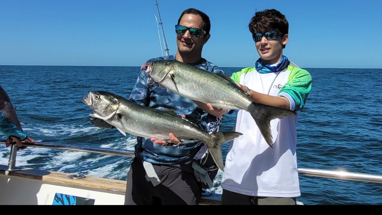 Jigging en Mar del Plata con Aquafish ,Anchoa de Banco, pez limon, besugo