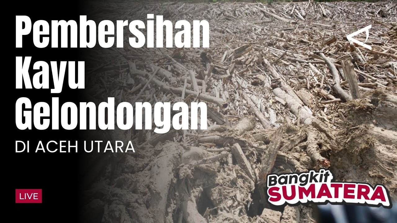 Pembersihan Gelondongan Kayu di Desa Geudeumbak, Aceh Utara