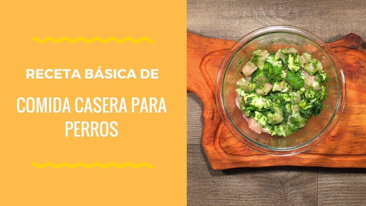 4. Receta básica de comida casera para perros