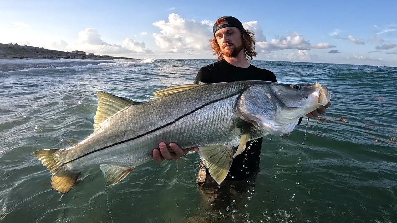 Sight fishing BIG snook on the beach (ultra light tackle)