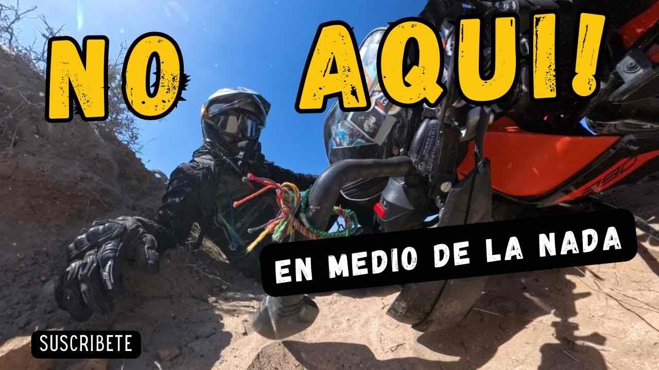 La AVENTURA vale la PENA?  🚫🦂🐍⚠️