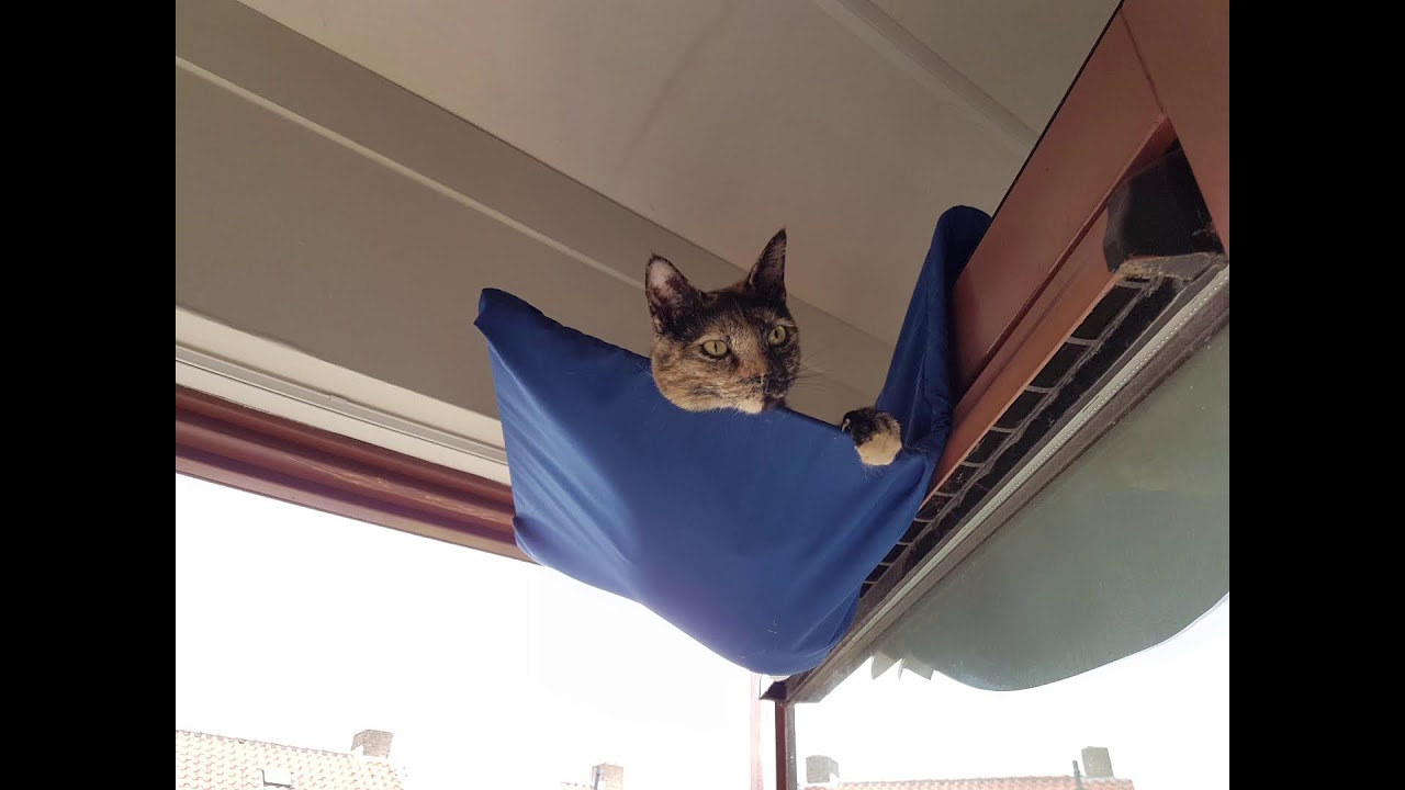 Leo Plays Space Marine 2